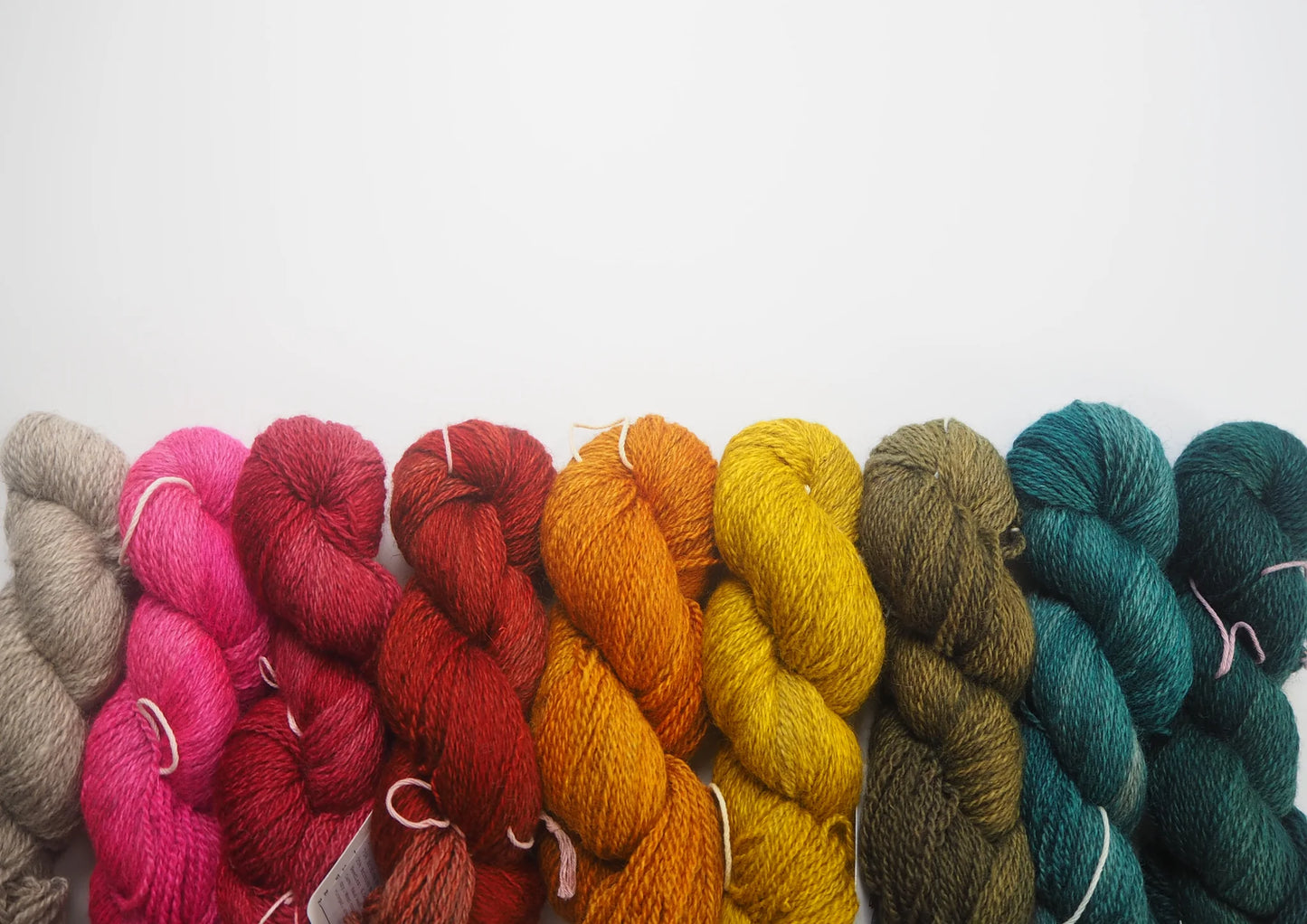 Masham Mayhem DK - British Masham & Bluefaced Leicester