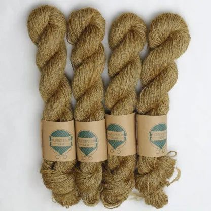 Northampton Shear Leicester Longwool
