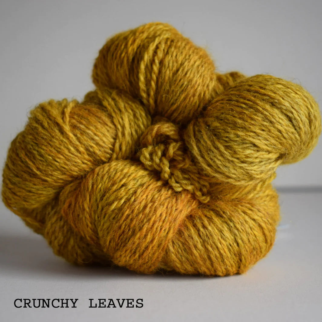 Masham Mayhem DK - British Masham & Bluefaced Leicester