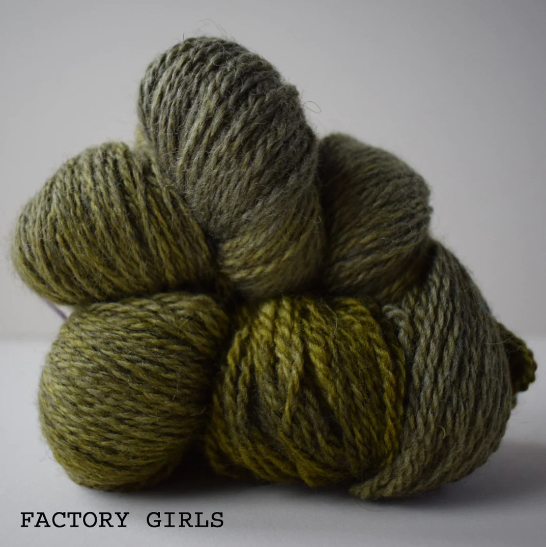 Masham Mayhem DK - British Masham & Bluefaced Leicester