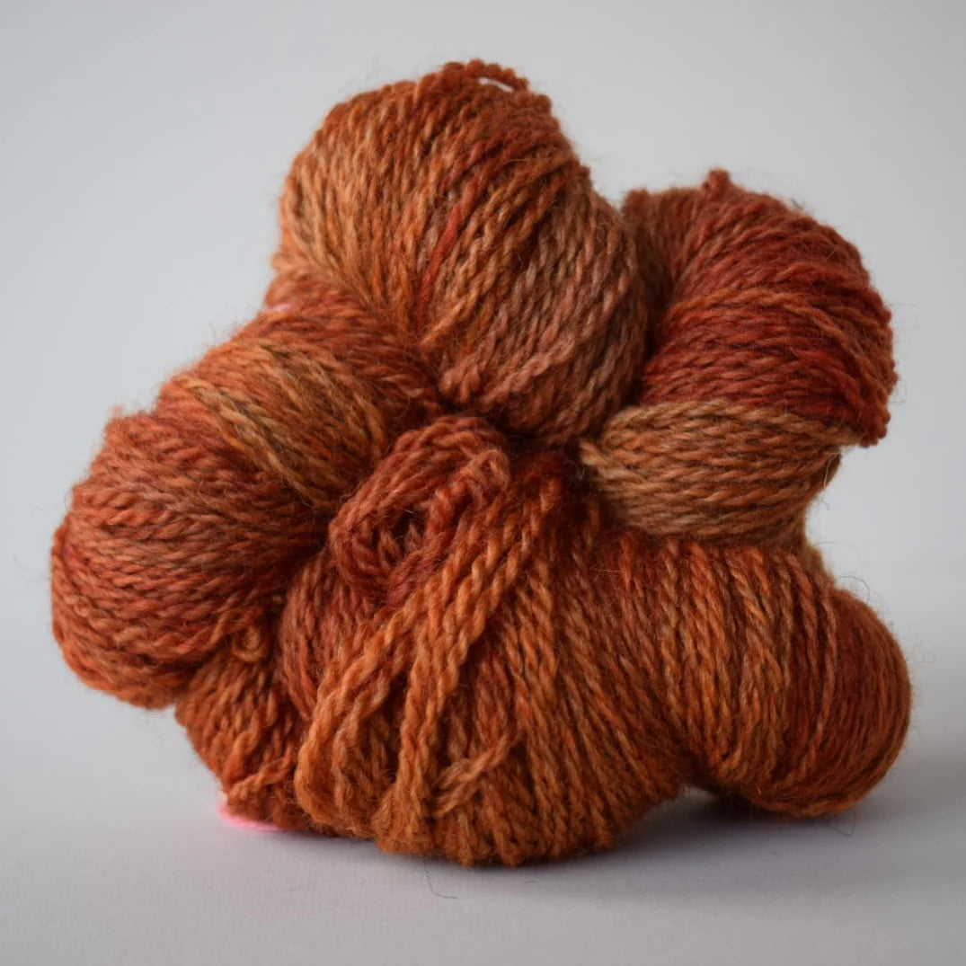 Masham Mayhem DK - British Masham & Bluefaced Leicester