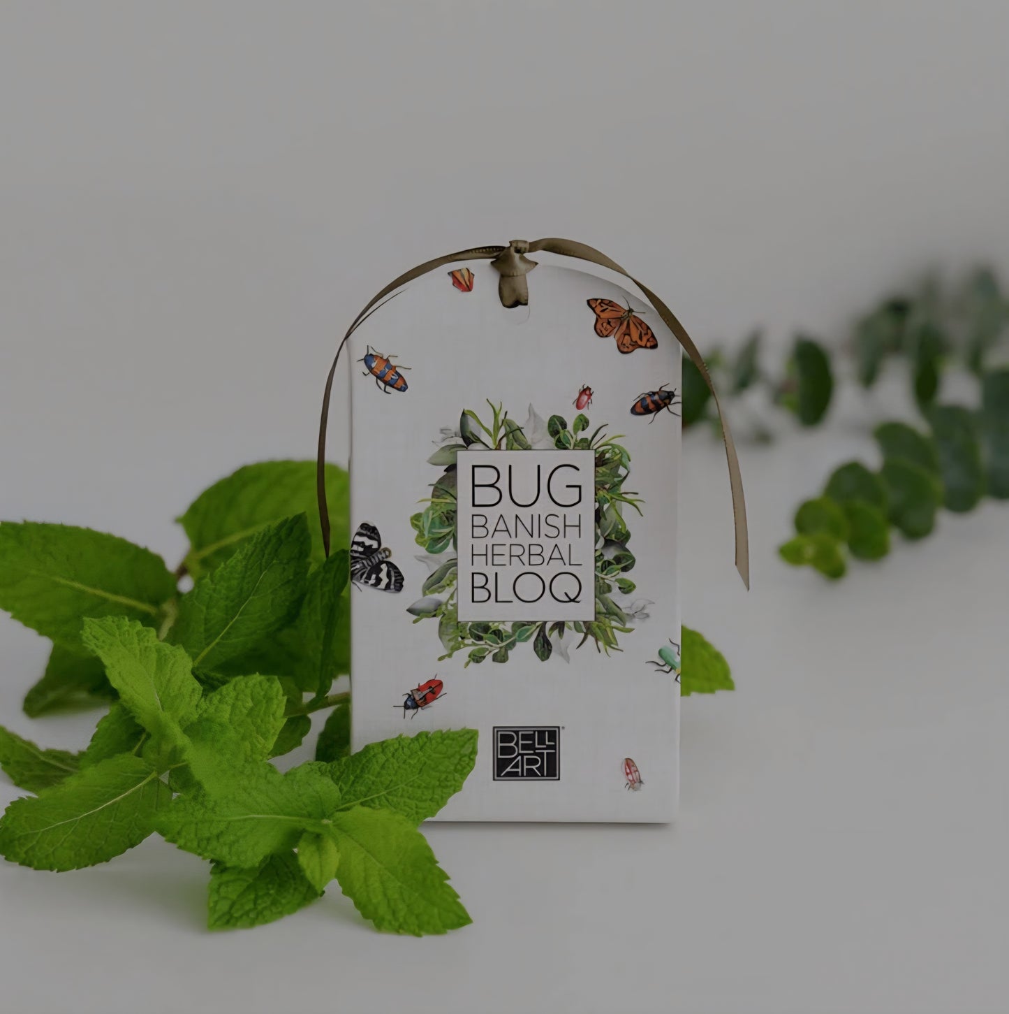 Aroma Bloqs